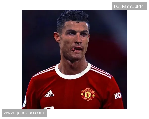 德国足球传奇球星头像展示深度解析及个人成就回顾