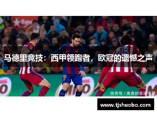 马德里竞技：西甲领跑者，欧冠的遗憾之声